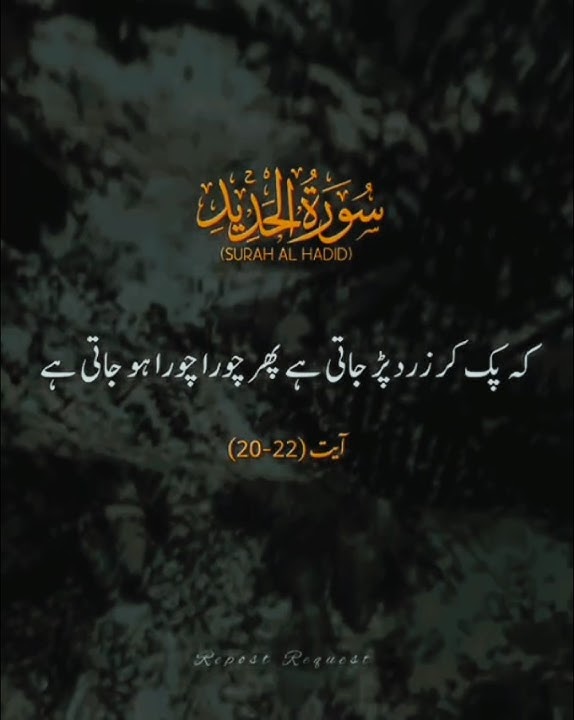 SURAH AL HADID 💞 🌸 VERSES (20_22) 💝 #alquran #fyp #foryou #viralvideo #trending #shortsfeed #ytshort