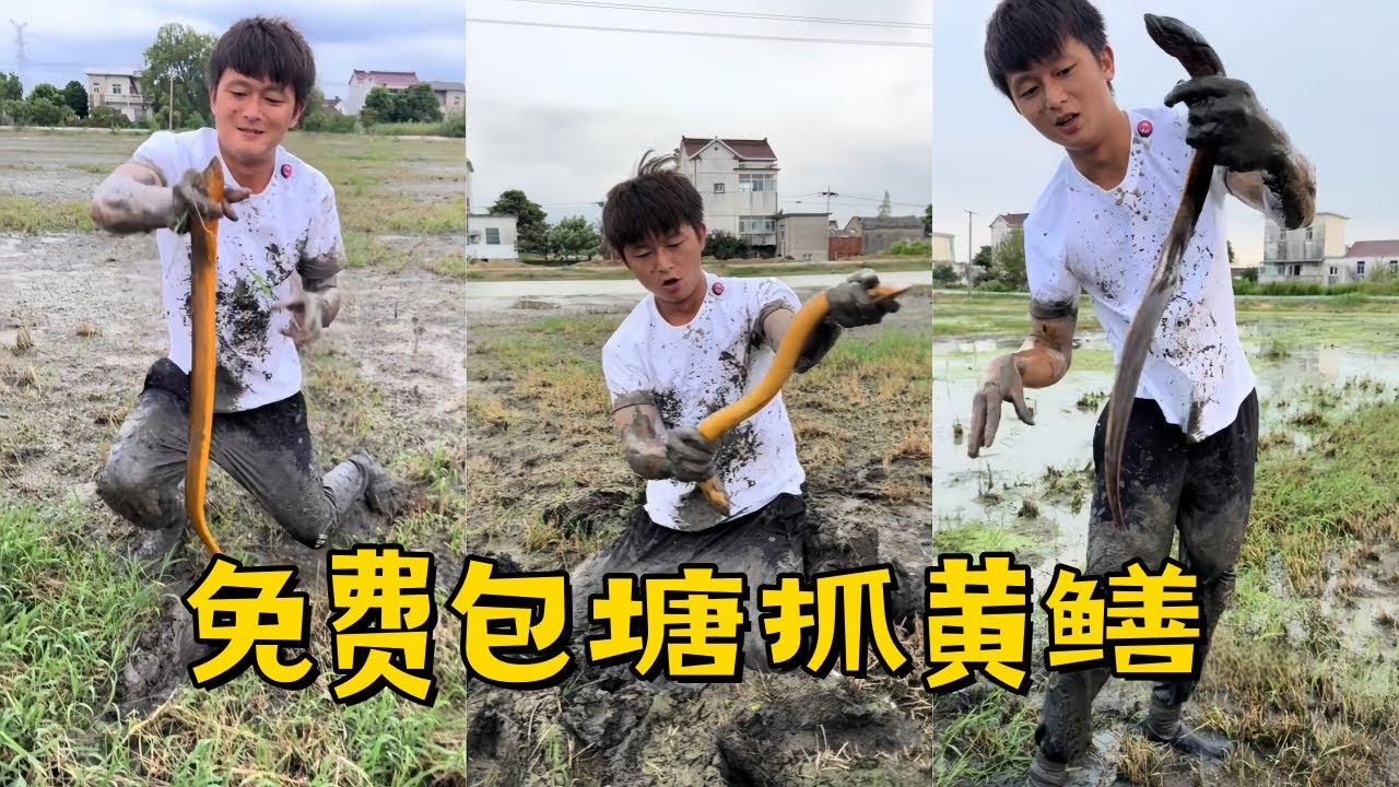 水猴子免费包塘抓黄鳝，抓到的鳝鱼和老板一人一半，这种稳赚不赔的买卖过瘾！