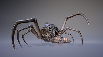 Gigabdomocauda Bombis Showcase