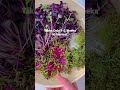 Growing microgreens only takes 1-2 weeks to harvest! So easy! #shorts #microgreensrecipe