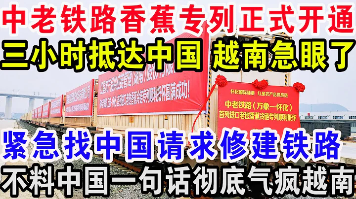中老鐵路香蕉專列正式開通，三小時抵達中國越南急眼了，緊急找中國請求修建鐵路，不料中國一句話徹底氣瘋越南 - 天天要聞