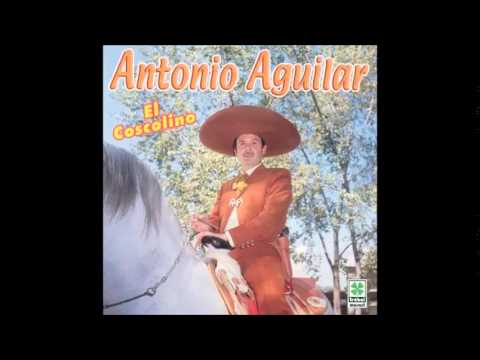 La Higuera - Antonio Aguilar (letra de la canción) - Cifra Club