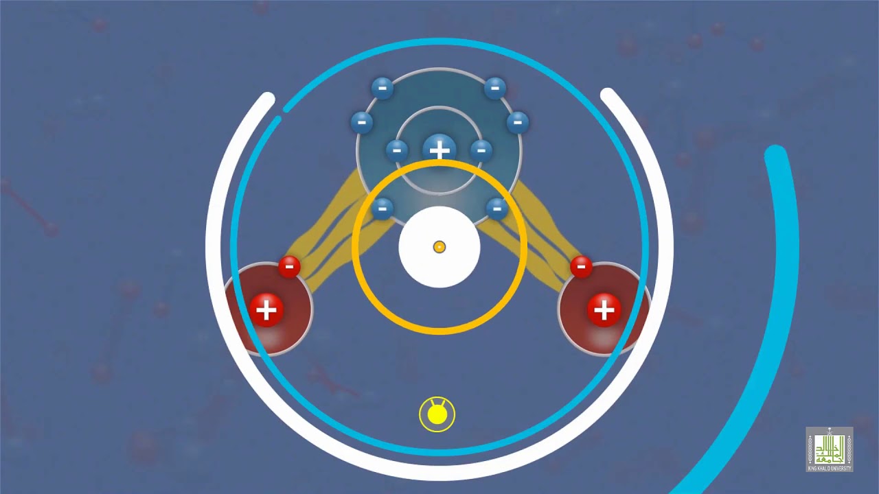 قطبية الماء Water Polarity Youtube