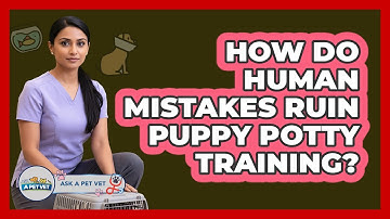 How Do Human Mistakes Ruin Puppy Potty Training? - Ask A Pet Vet