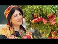 40 autumn routine life of a country woman cooking pomegranate chicken stew slow village life iran