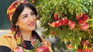 #40 Autumn Routine Life of a Country Woman| Cooking Pomegranate Chicken Stew |Slow Village Life Iran