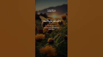 سورة ال عمران #استرخاء #اكسبلور #القرآن #المصحف #القرآن_الكريم #حالات_واتس #العظماء #راحة_نفسية
