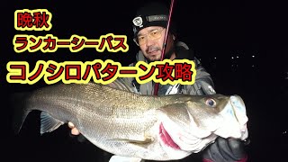 【コノシロパターン】ランカーシーバスをモンスターウェイクで攻略!