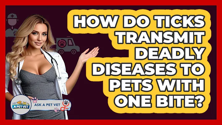 How Do Ticks Transmit Deadly Diseases To Pets With One Bite? - Ask A Pet Vet