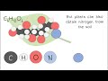 Understanding Organic Biomolecules