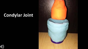 Synovial Joints Modeling Project