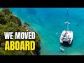 Leaving New Zealand, Finding Bluefish | E1 S1