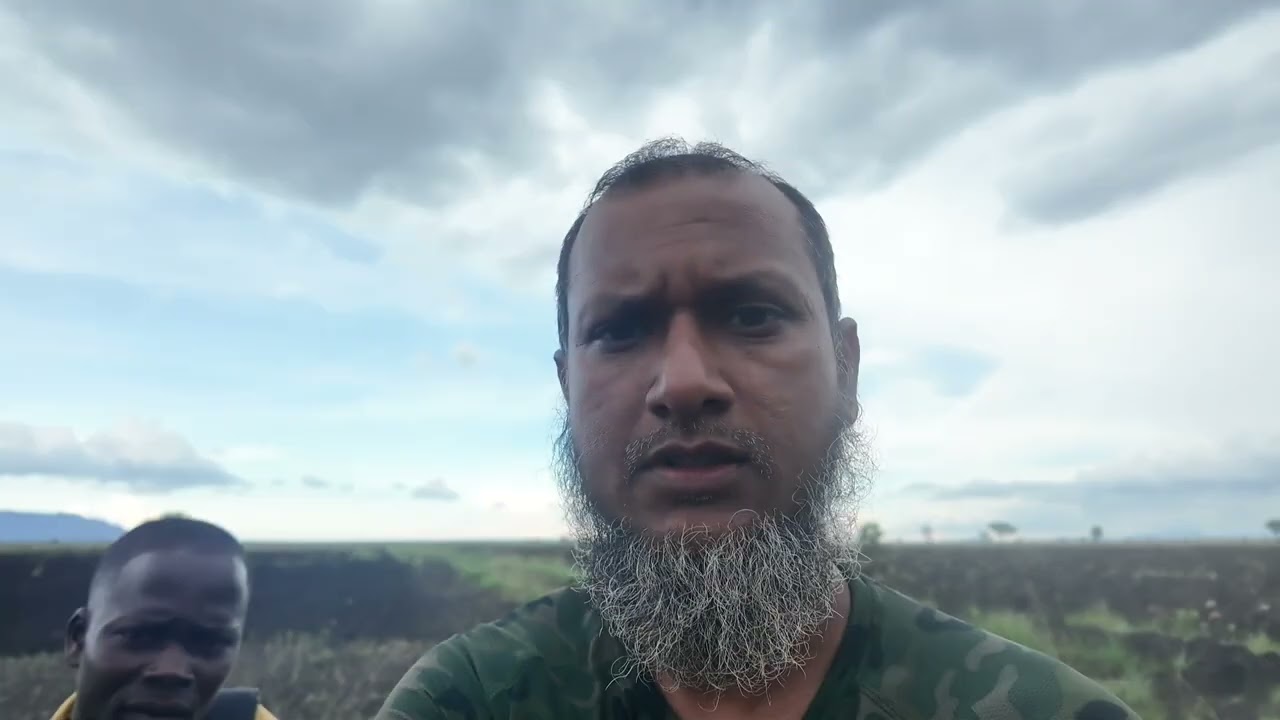 উগান্ডা ফার্মে নতুন বাছুর