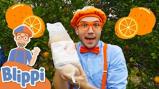 Blippi Visits an Orange Farm - Learning Fruits & Healthy Eating | Educational Videos For Kids