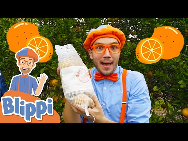 Blippi Visits an Orange Farm - Learning Fruits & Healthy Eating | Educational Videos For Kids class=