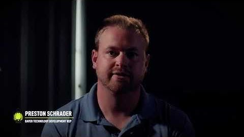 How to Read Sticky Traps to Determine Corn Rootworm Pressure | The Watch