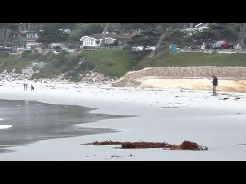 Walk on the Pebble Beach Dog Beach
