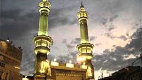 سورة محمد - الشيخ أبو حاتم السالمي محمد فايد