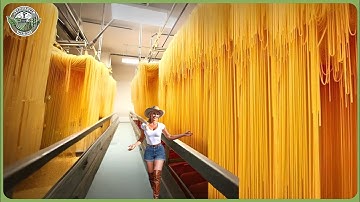 How Spaghetti Is Made - Massive Million Tons of Pasta Processing In Factory