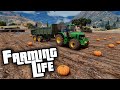 Реальная жизнь на ФЕРМЕ в GTA 5 - УСТАНОВКА и ОБЗОР МОДА ГТА 5! Как установить Farming Life Project!