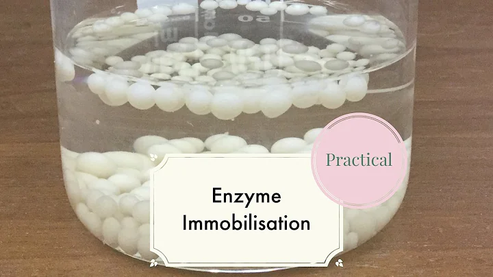 Enzyme Immobilisation-Leaving Cert Biology - DayDayNews