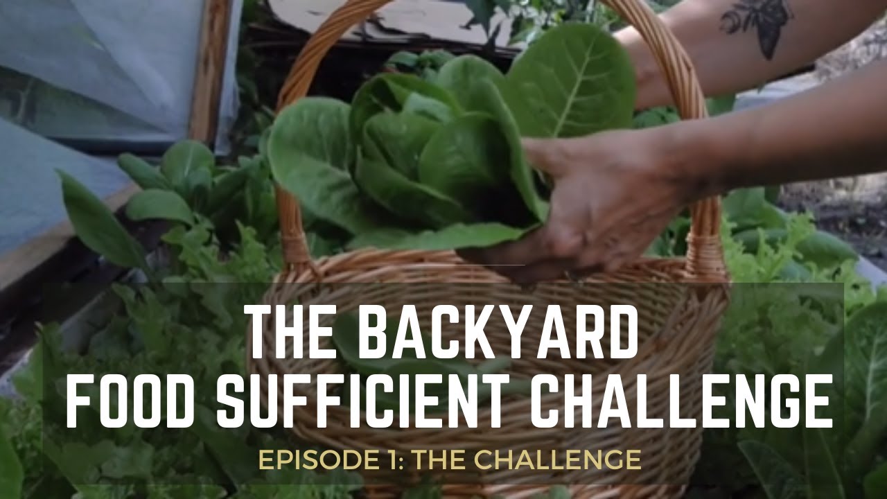 Backyard Food Sufficient Challenge Episode 1 “Is it actually possible
