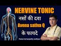 Avena sativa q homeopathy uses  benefits  homeopathic medicine  nervine tonic  brain tonic