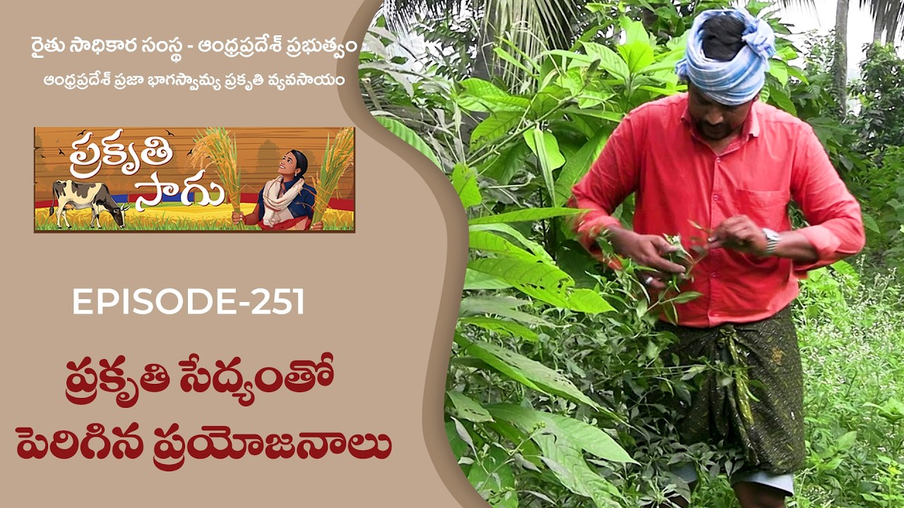 Е251 | Увеличение преимуществ натурального земледелия | Койи Дхармараджу | Восточный Годавариский...