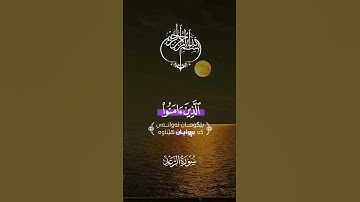 الذين آمنوا وتطمئن قلوبهم بذكر الله #سورة_الرعد  #قرآن_كريم #راحة_نفسية #عبد_الباسط_عبد_الصمد