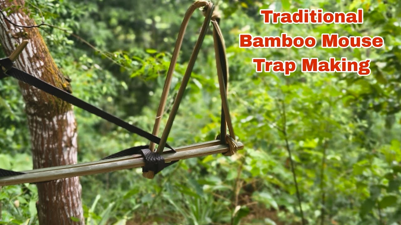 Traditional Mouse/Bird Trap – Old Craft, Smart Solution 