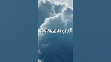 فهد الكندري يتلو سورة الضحى تلاوة تفوق الخيال #القران_الكريم