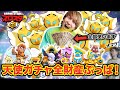 ブロスタ天使ガチャに全財産ブッパしたらエグい引きしました【ブロスタ】