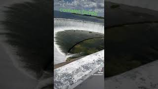 Presa marte r gomez comales tamps