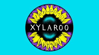 Video thumbnail of "Xylaroo - I Bet You Look Good On The Dancefloor"