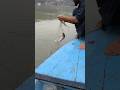 #fishing