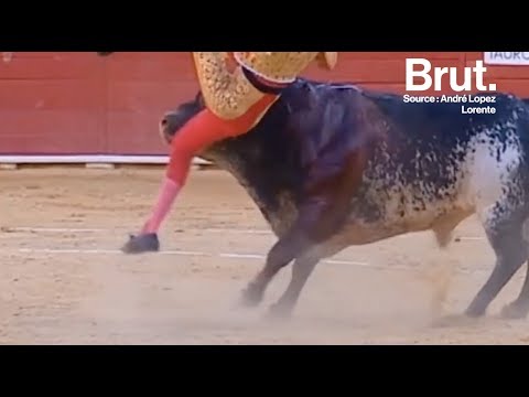 Vidéo: Qui est la corrida de toros ?