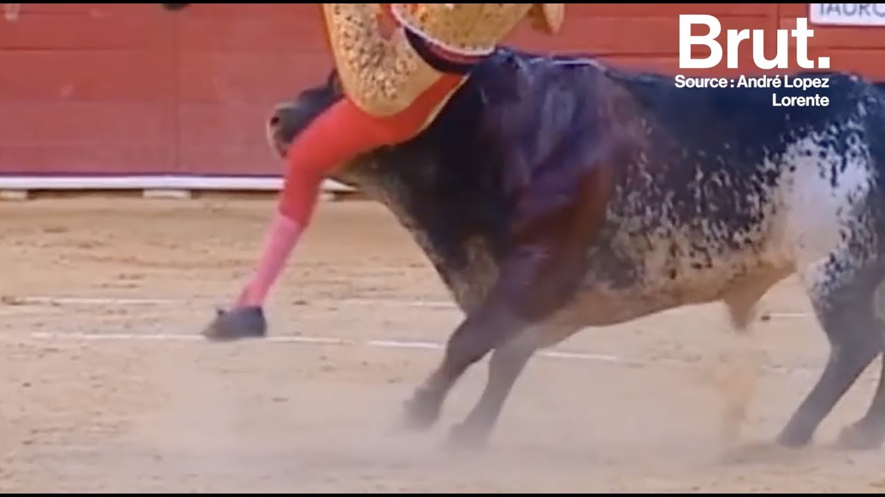 la tauromachie