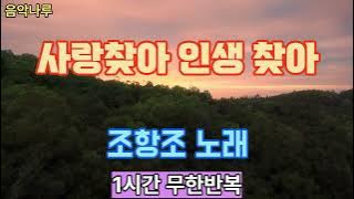 🎵 조항조 – 사랑 찾아 인생 찾아_1시간 무한반복 듣기 & 배우기 #조항조 #사랑찾아인생찾아 #드라마ost