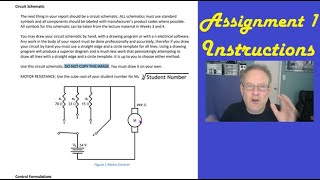 Report Structure Assignment Instructions