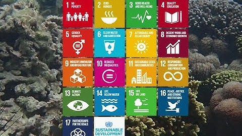 Ocean 4 Life – Nature-based Solutions for people and planet