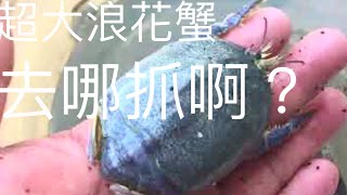 簡單抓浪花蟹的美味料理夏天喝啤酒的最佳選擇秋蟹肥美