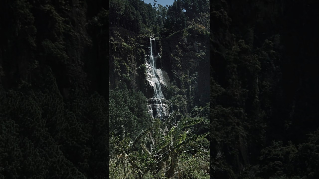The view of Bambarakanda Falls you get from the Kalupahana Road 