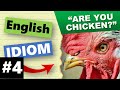 Understanding the Idiom 'Chicken' in English