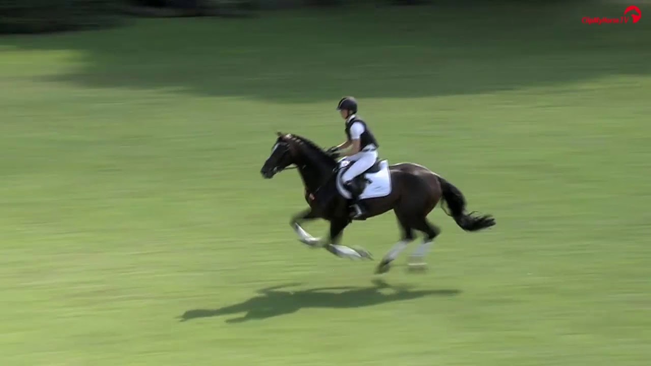 Sandra Auffarth | Gentleman | Finale 5jährige Vielseitigkeitspferde | DKB-Bundeschampionate 2017