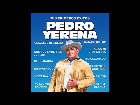 Pedro Yerena -