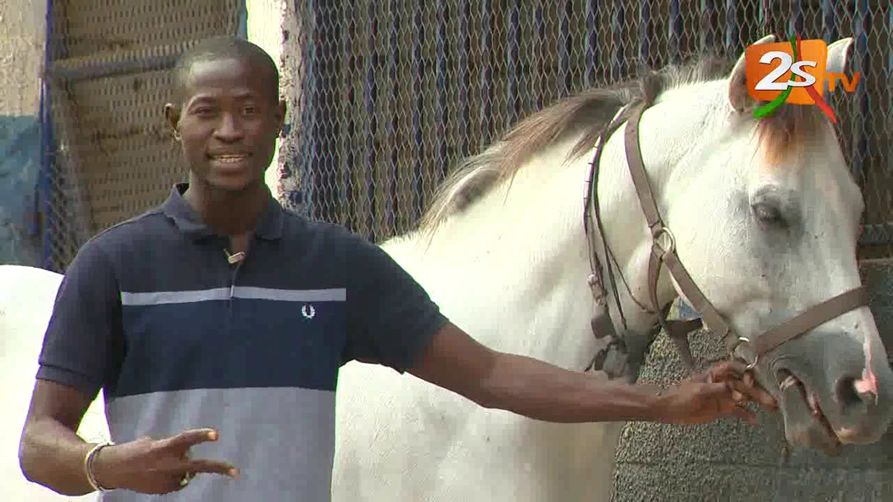 O GALOP DU SAMEDI 01 DÉCEMBRE  2018 AVEC AMADOU DIALLO