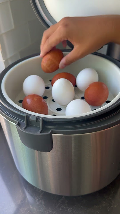 Cooking Eggs in a Rice Cooker #egg #eggrecipe #ricecooker #rice #food #recipe #eggrecipe #short #eat