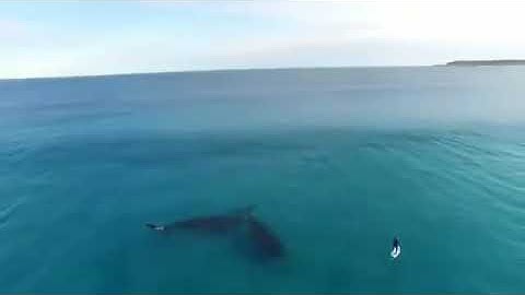 قران كريم مقطع قصير 🌸💚