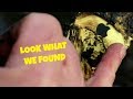 **HOW DID WE FIND THIS ?!?**