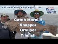 Snapper grouper tilefish | Snapper & Grouper Fishing | catch more snapper grouper | snapper grouper